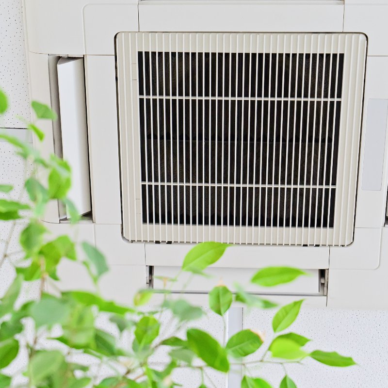 indoor air conditioning vent next to a green plant